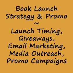 Book Launch Strategy